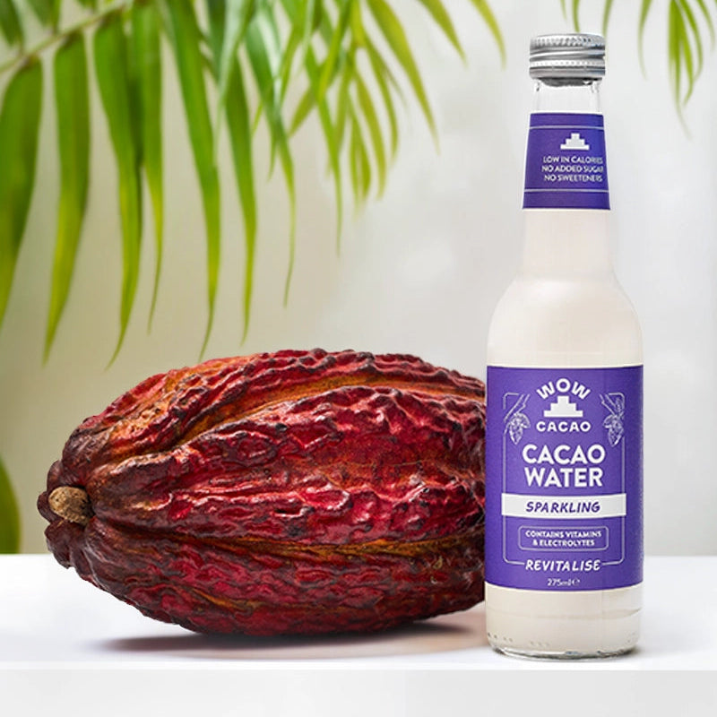 Sparkling Cacao Water (6 x 275 ml)