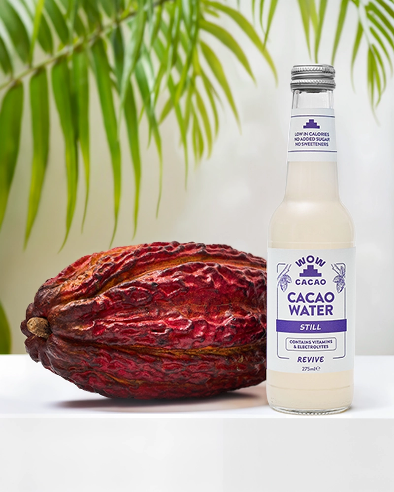 WOW CACAO - Still