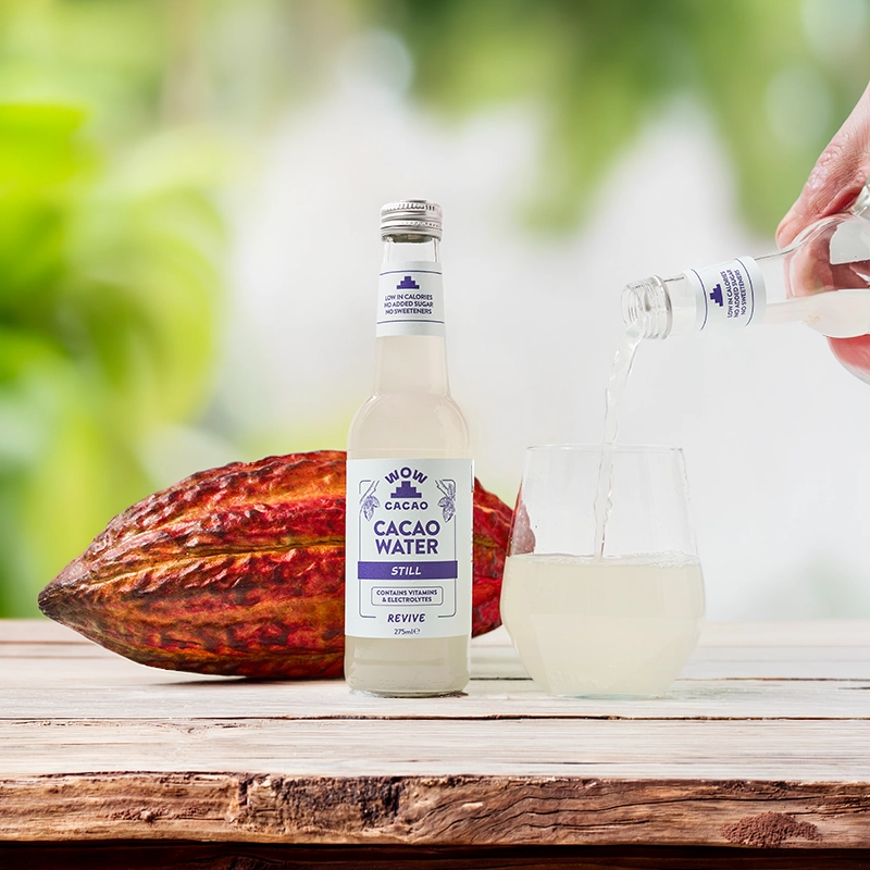 Still Cacao Water (6 x 275 ml)