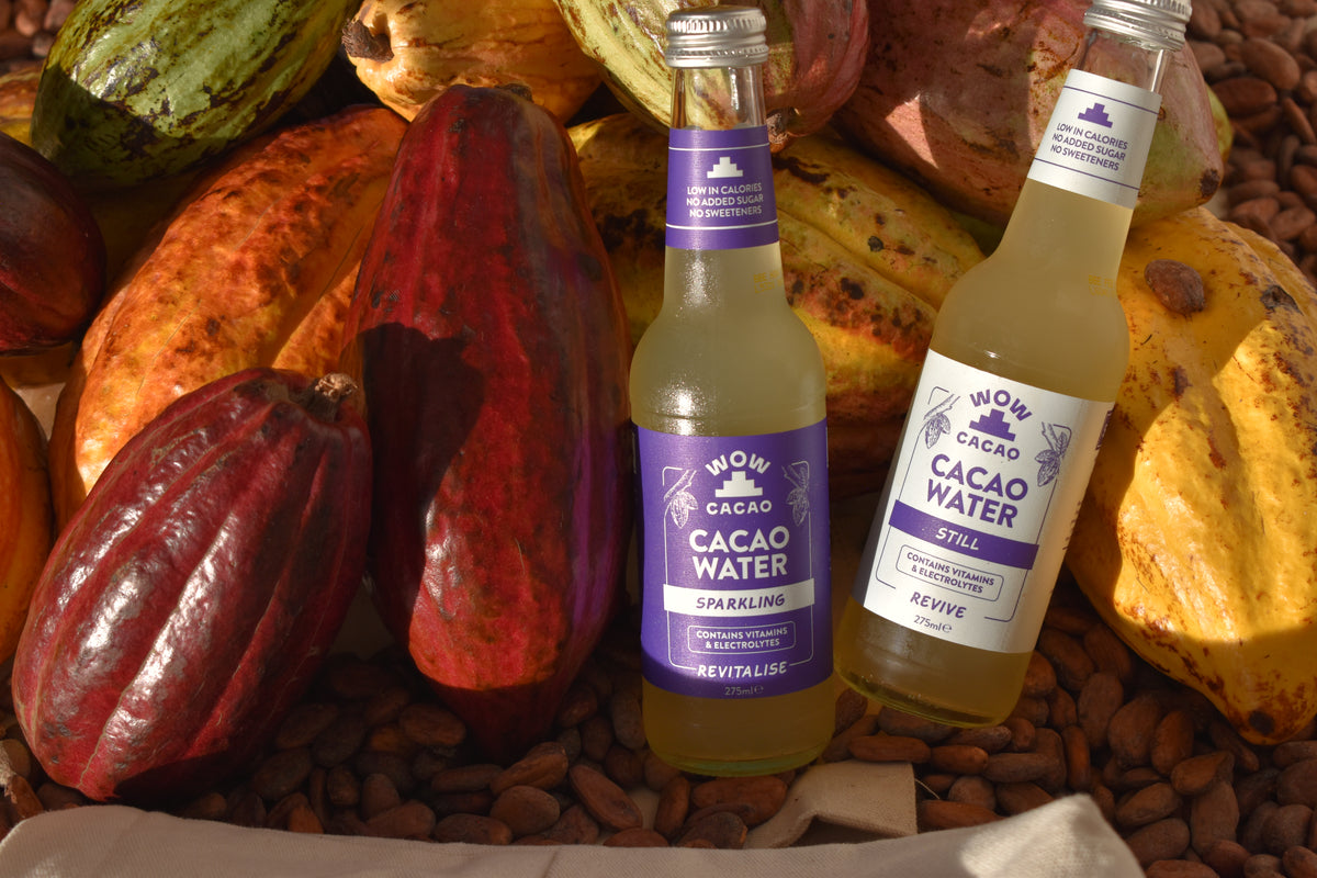 Sparkling Cacao Water (6 x 275 ml)