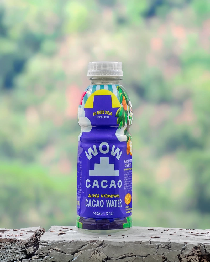 WOW CACAO Still 500ml PET
