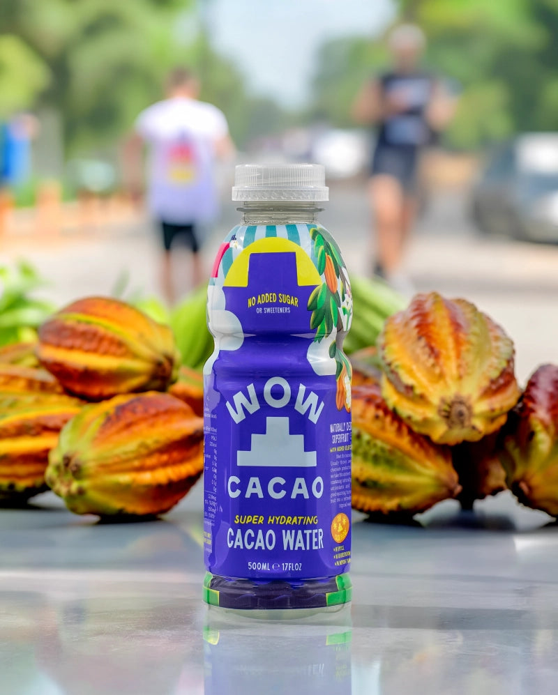 WOW CACAO Still 500ml PET